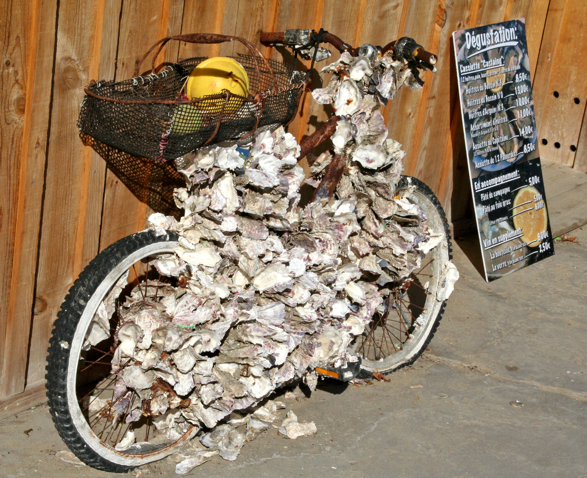 Velo huitres