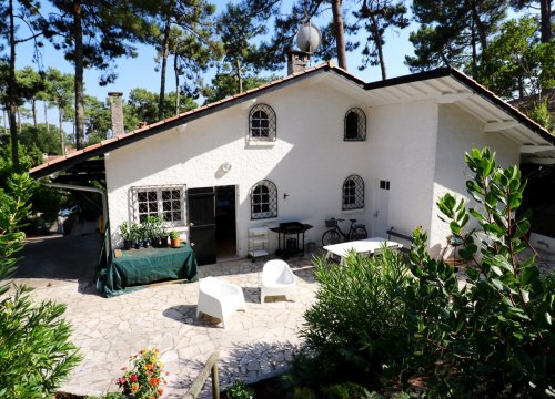 Bild 36