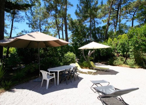 Bild 15